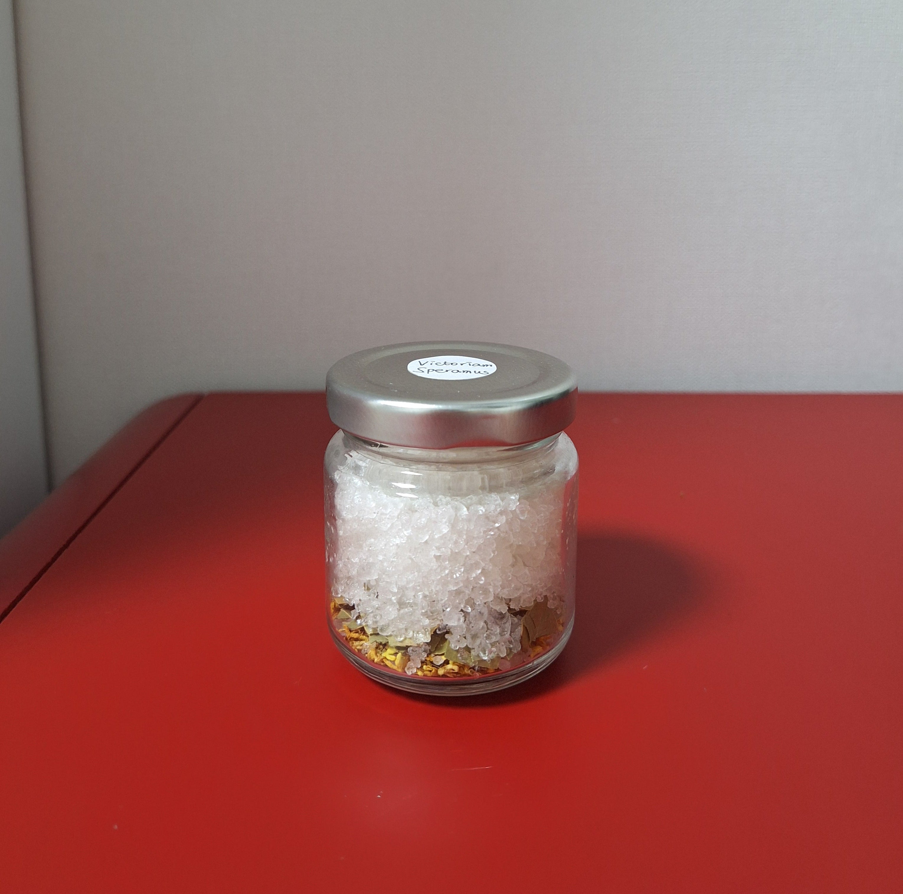 [한정] 빅토리암 스페라무스 Victoriam Speramus (Small)